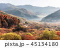 麟蹄 紅葉 秋 45134180