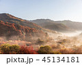 麟蹄 紅葉 秋 45134181