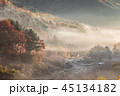 麟蹄 紅葉 秋 45134182