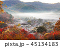 麟蹄 紅葉 秋 45134183