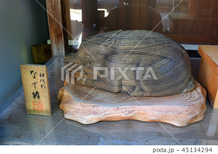 護王神社のなで猪（京都） 45134294