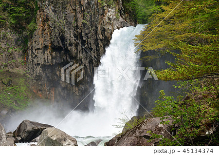 苗名滝 5月 苗名滝 5月 45134374