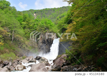 苗名滝 5月 苗名滝 5月 45134380