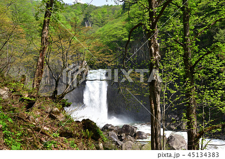苗名滝 5月 苗名滝 5月 45134383
