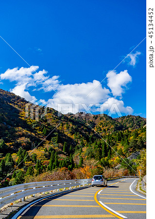 三重県　御在所岳　鈴鹿スカイラインの紅葉 45134452