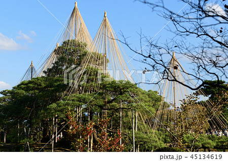 兼六園(雪つり) 兼六園(雪つり) 45134619