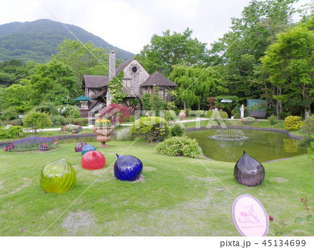 可愛い庭園 45134699