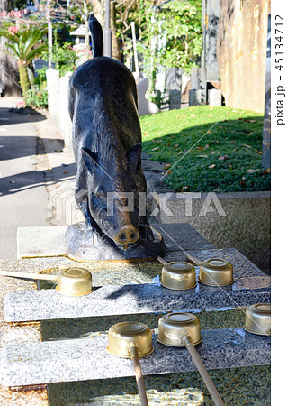 護王神社の霊猪手水舎（京都） 45134712