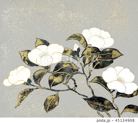 日本画 椿 つばき 花 岩絵の具 金粉のイラスト素材