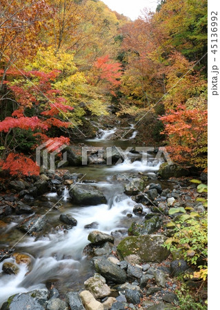 照葉峡 紅葉 照葉峡 紅葉 45136992