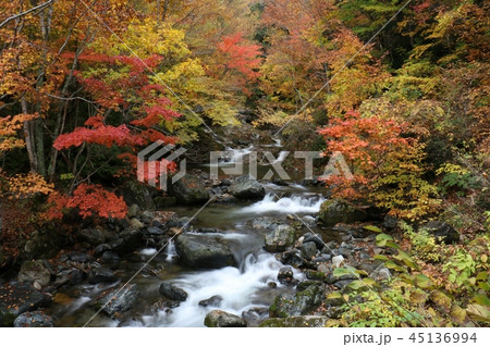 照葉峡 紅葉 照葉峡 紅葉 45136994