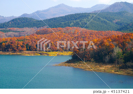 紅葉の宝仙湖 45137421