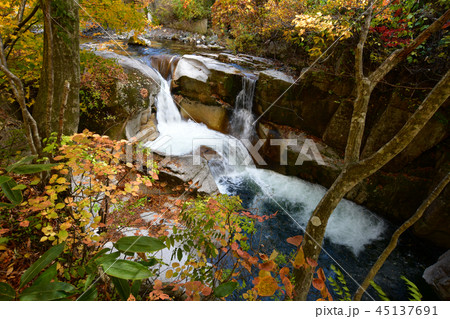 照葉峡 胴元の滝 照葉峡 胴元の滝 45137691