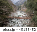 徳島 祖谷のかずら橋 45138452