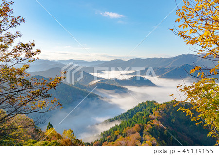 おにゅう峠　紅葉　早朝 45139155