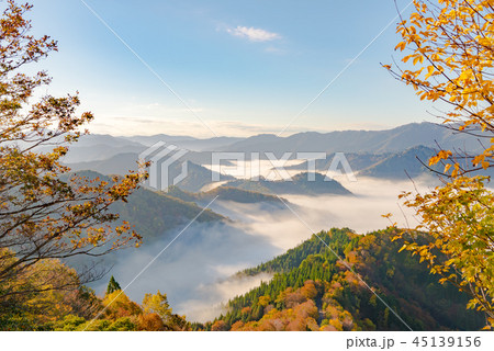 おにゅう峠　紅葉　早朝 45139156