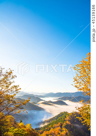 おにゅう峠 紅葉 早朝 おにゅう峠 紅葉 早朝 45139166