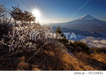 朝の御坂山地・雪頭ヶ岳の樹氷と富士山・雲海の西湖 朝の御坂山地・雪頭ヶ岳の樹氷と富士山・雲海の西湖 45139601