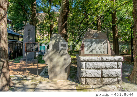十二社熊野神社 45139644