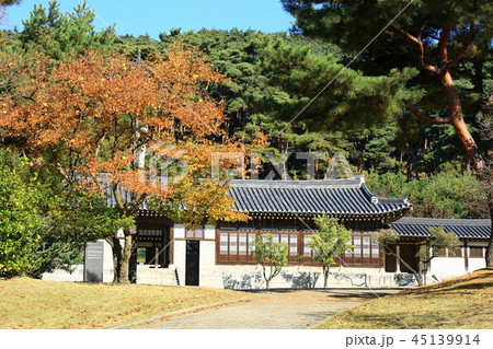 秋 ガーデン 庭園 45139914
