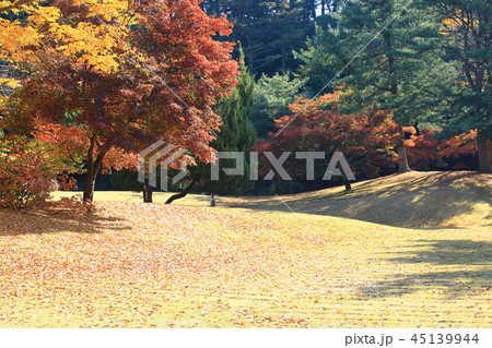 秋 ガーデン 庭園 45139944