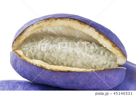 アケビ アケビ 45140331