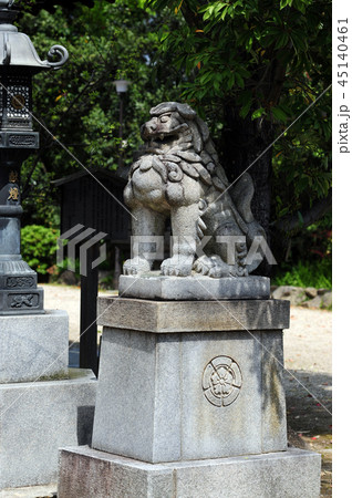 池田八坂神社の狛犬-8 45140461