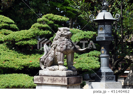 池田八坂神社の狛犬-7 45140462