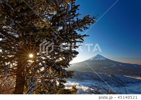 朝日差す御坂山地・雪頭ヶ岳の樹氷と富士山 45140521