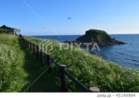 利尻島冨士野園地 45140904