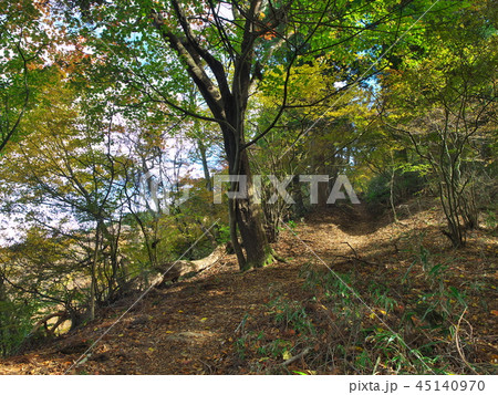 金剛山（六地蔵） 45140970