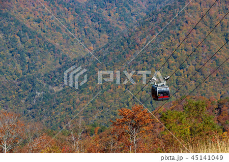 谷川岳ロープウェイ 45141049