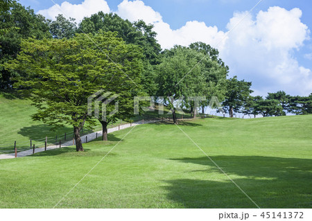 公園 木 オリンピック公園 45141372