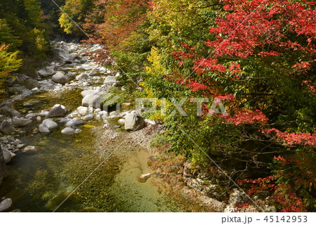 長野県 南木曽町 柿其渓谷の紅葉の写真素材