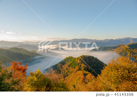 おにゅう峠　紅葉　早朝　大雲海 45143306
