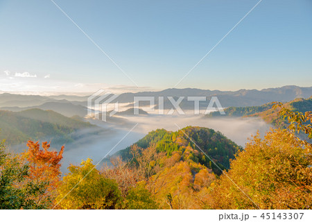 おにゅう峠 紅葉 早朝 大雲海 おにゅう峠 紅葉 早朝 大雲海 45143307