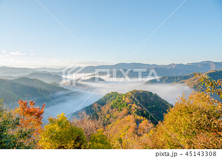 おにゅう峠 紅葉 早朝 大雲海 おにゅう峠 紅葉 早朝 大雲海 45143308