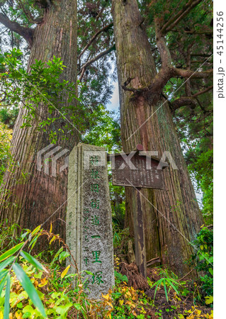 箱根芦ノ湖周辺の風景 旧東海道 箱根宿の杉並木 45144256