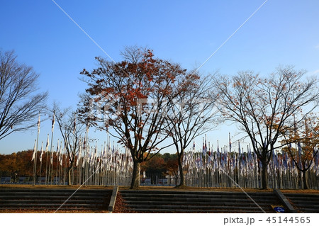 秋 ガーデン 庭園 45144565