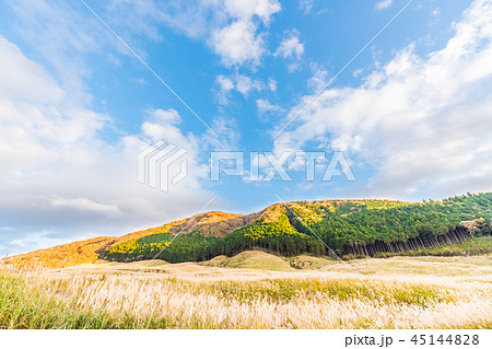 日本の秋 箱根仙石原のススキ草原 45144828