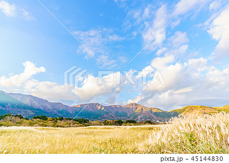 日本の秋 箱根仙石原のススキ草原 日本の秋 箱根仙石原のススキ草原 45144830