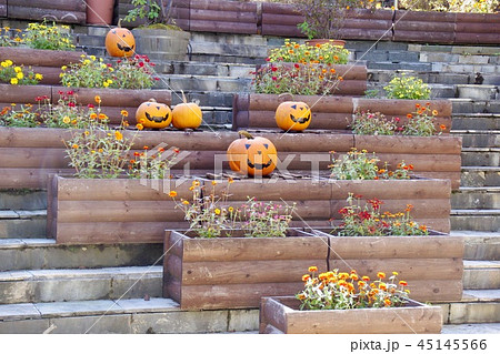 ハロウィンのカボチャ 45145566