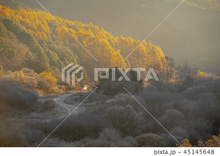 麟蹄郡 韓国 日光 45145648