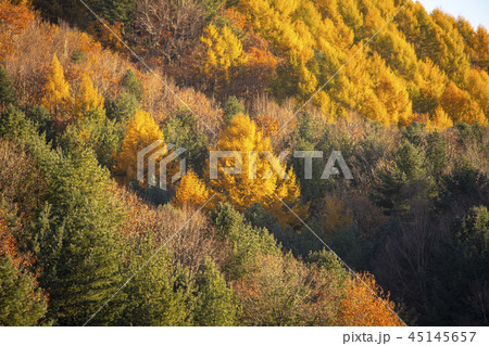 麟蹄郡 江原道 韓国 45145657