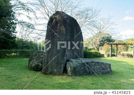 常陸風土記の丘 常陸風土記の丘 45145825