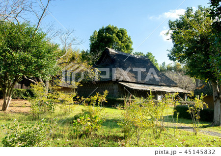 常陸風土記の丘 45145832