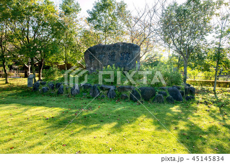 常陸風土記の丘 45145834