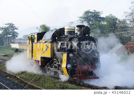 ニルギリ山岳鉄道 ニルギリ山岳鉄道 45146022