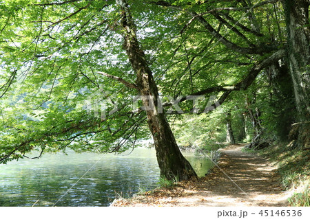 プリトヴィッツェ プリトヴィッツェ 45146536