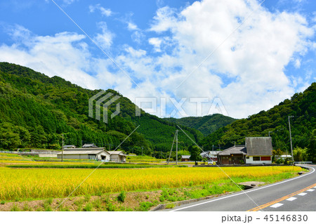 田舎の田園風景 45146830